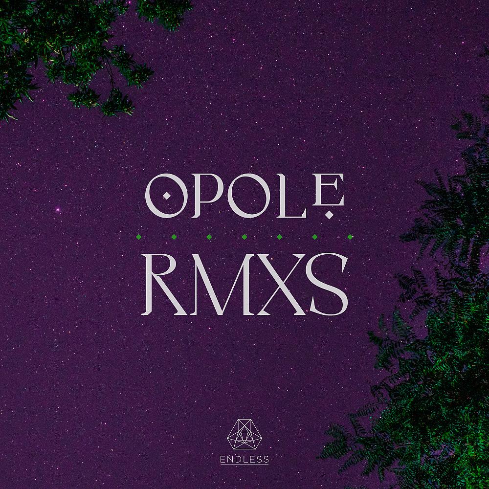 Постер альбома Opole RMXS
