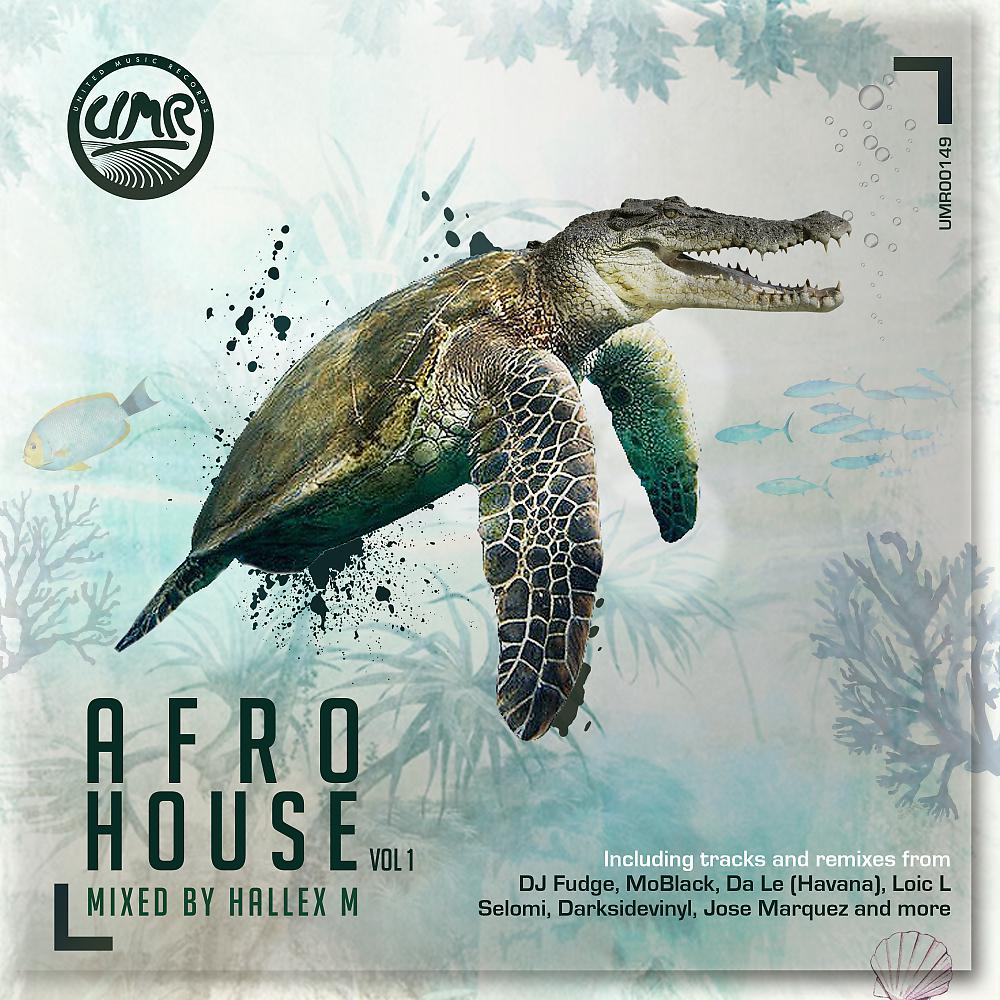 Постер альбома AFRO HOUSE Vol 1