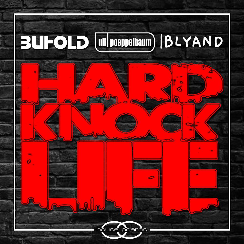 Постер альбома Hard Knock Life