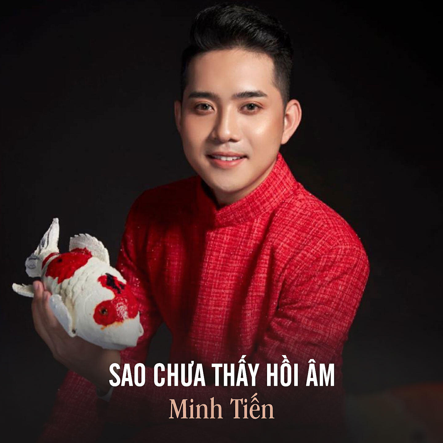 Постер альбома Sao Chưa Thấy Hồi Âm