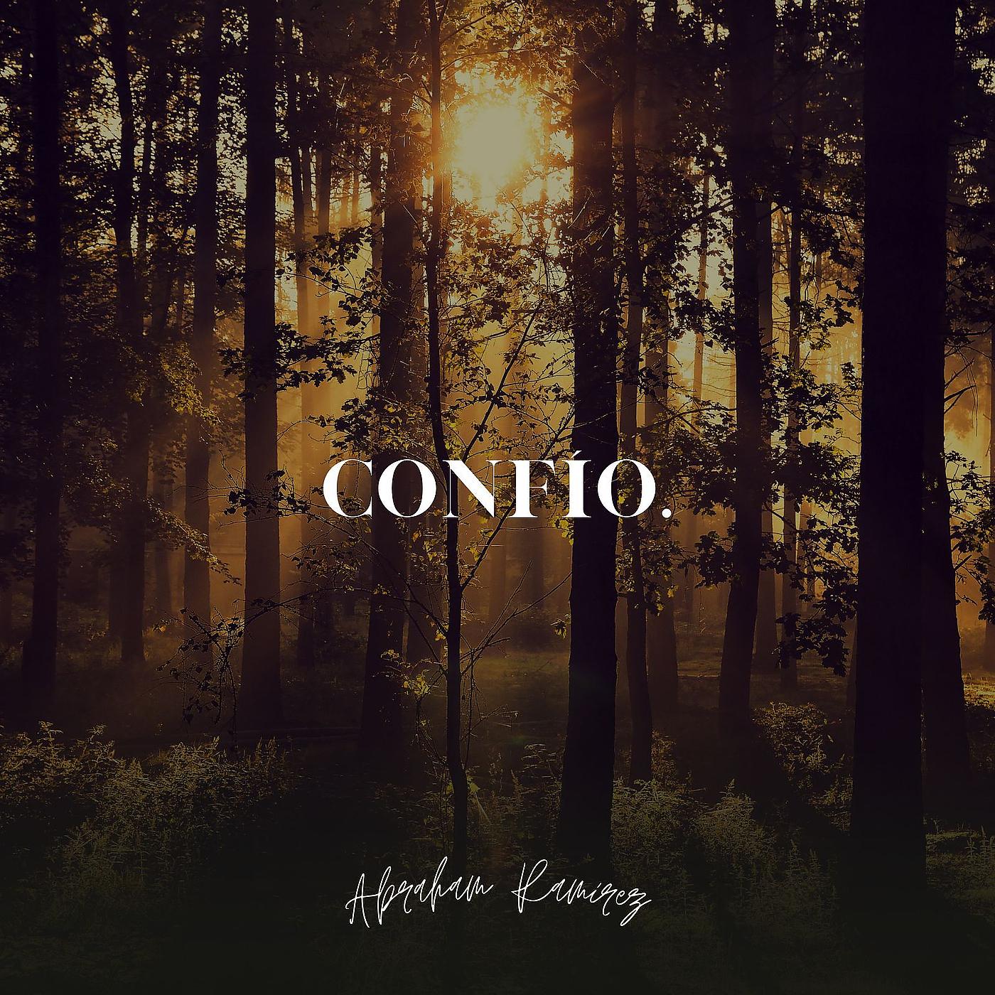 Постер альбома Confio