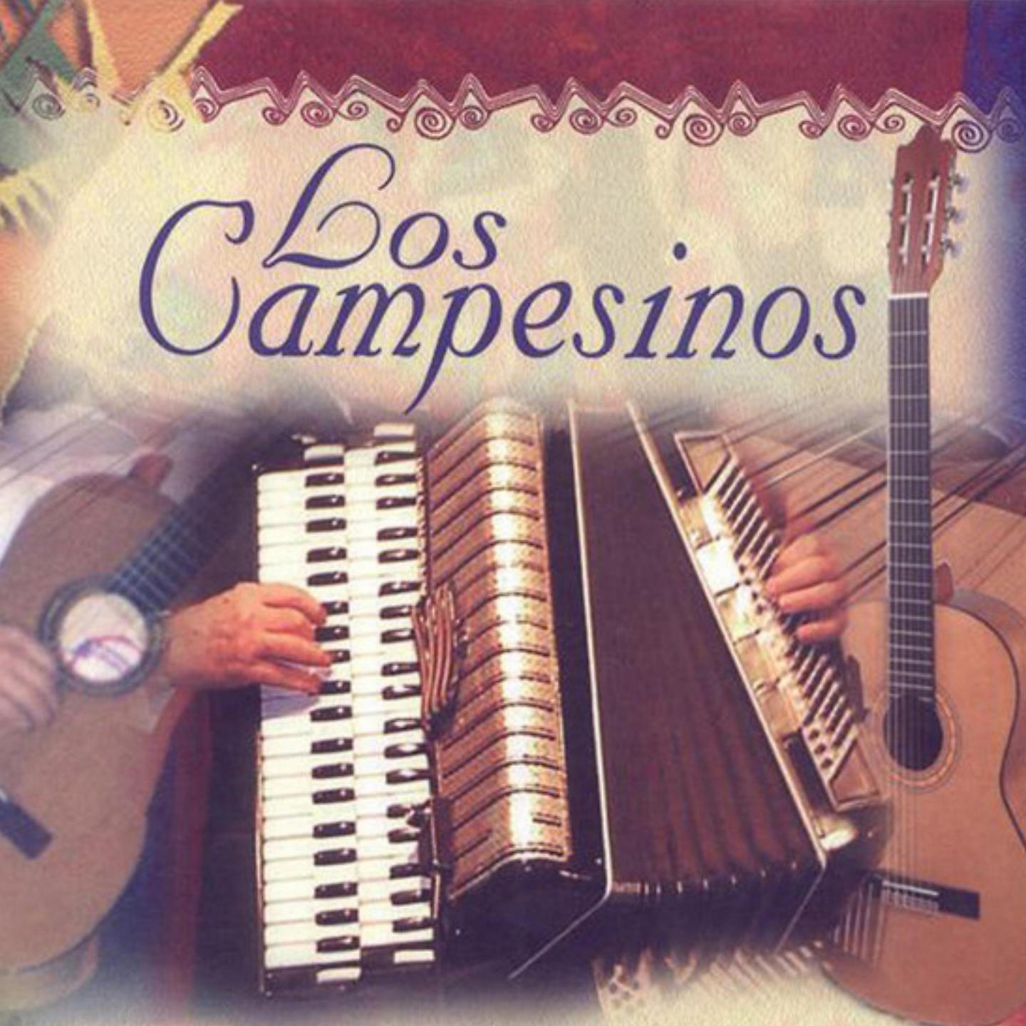 Постер альбома Los Campesinos