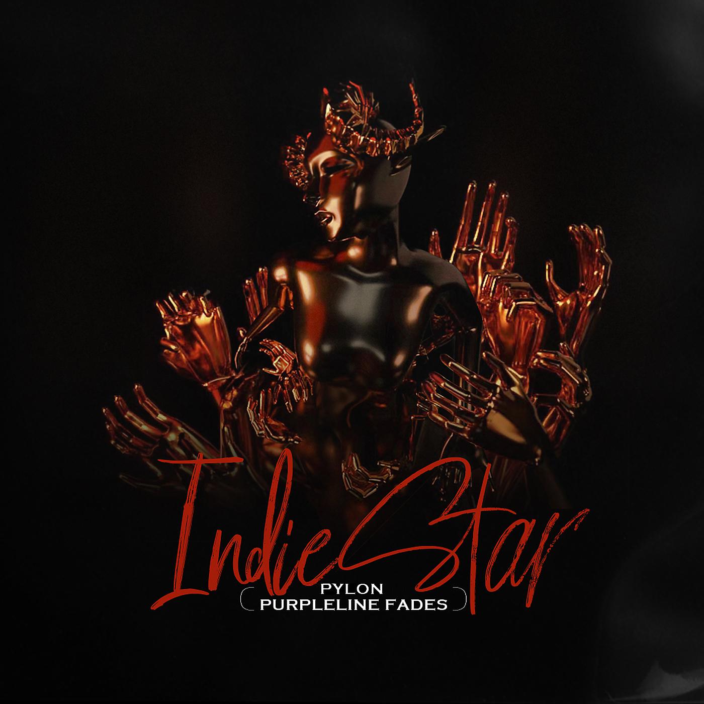 Постер альбома Indie Star