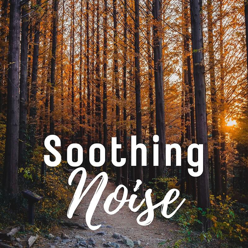 Sensitive ASMR - Soothing Noise