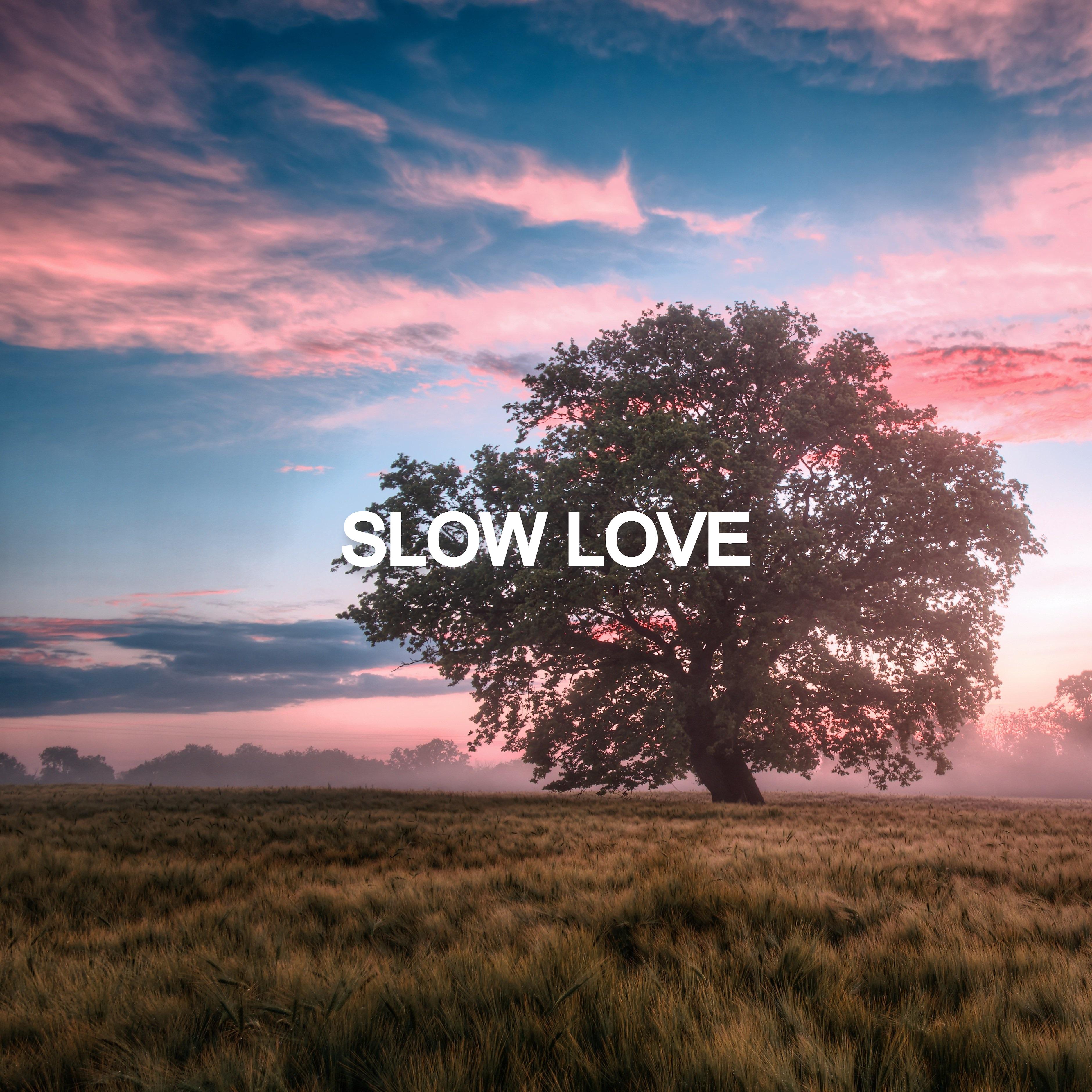 Постер альбома Slow Love