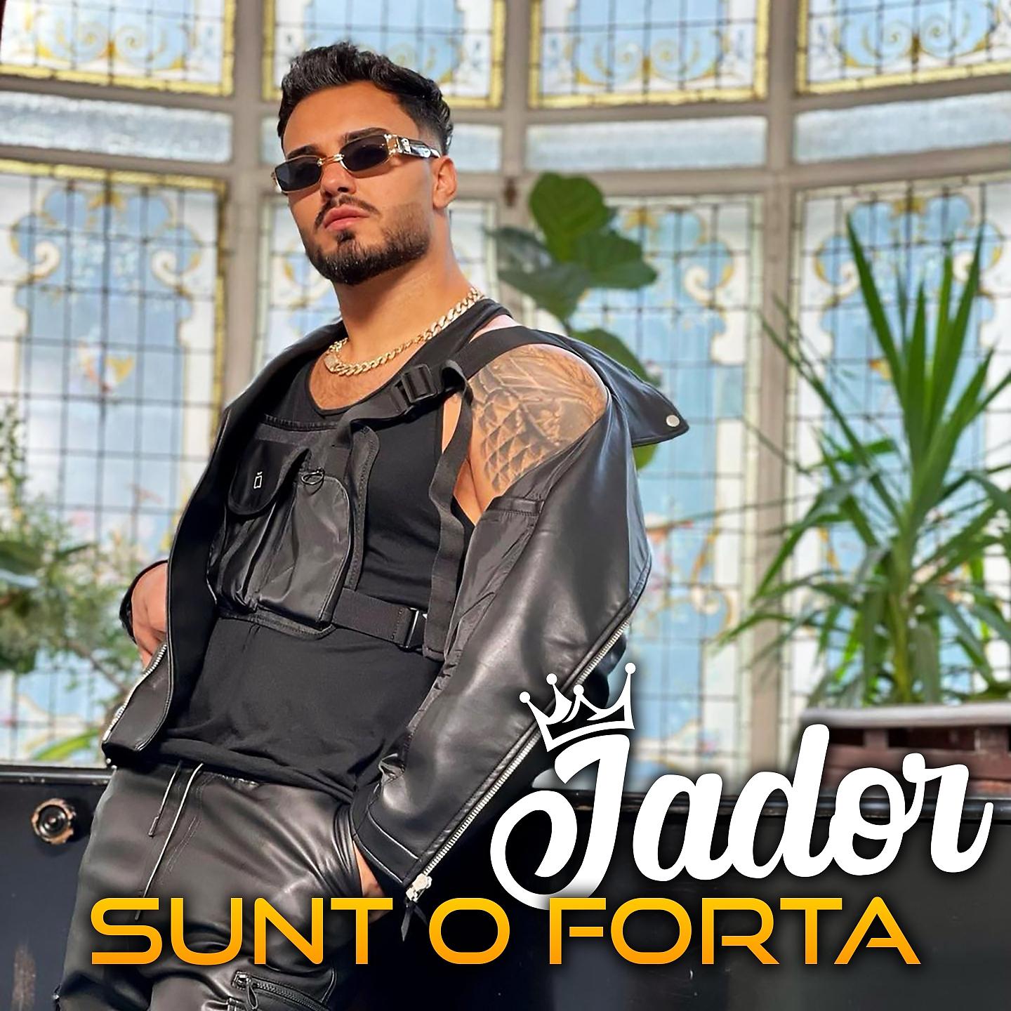 Постер альбома Sunt O Forta