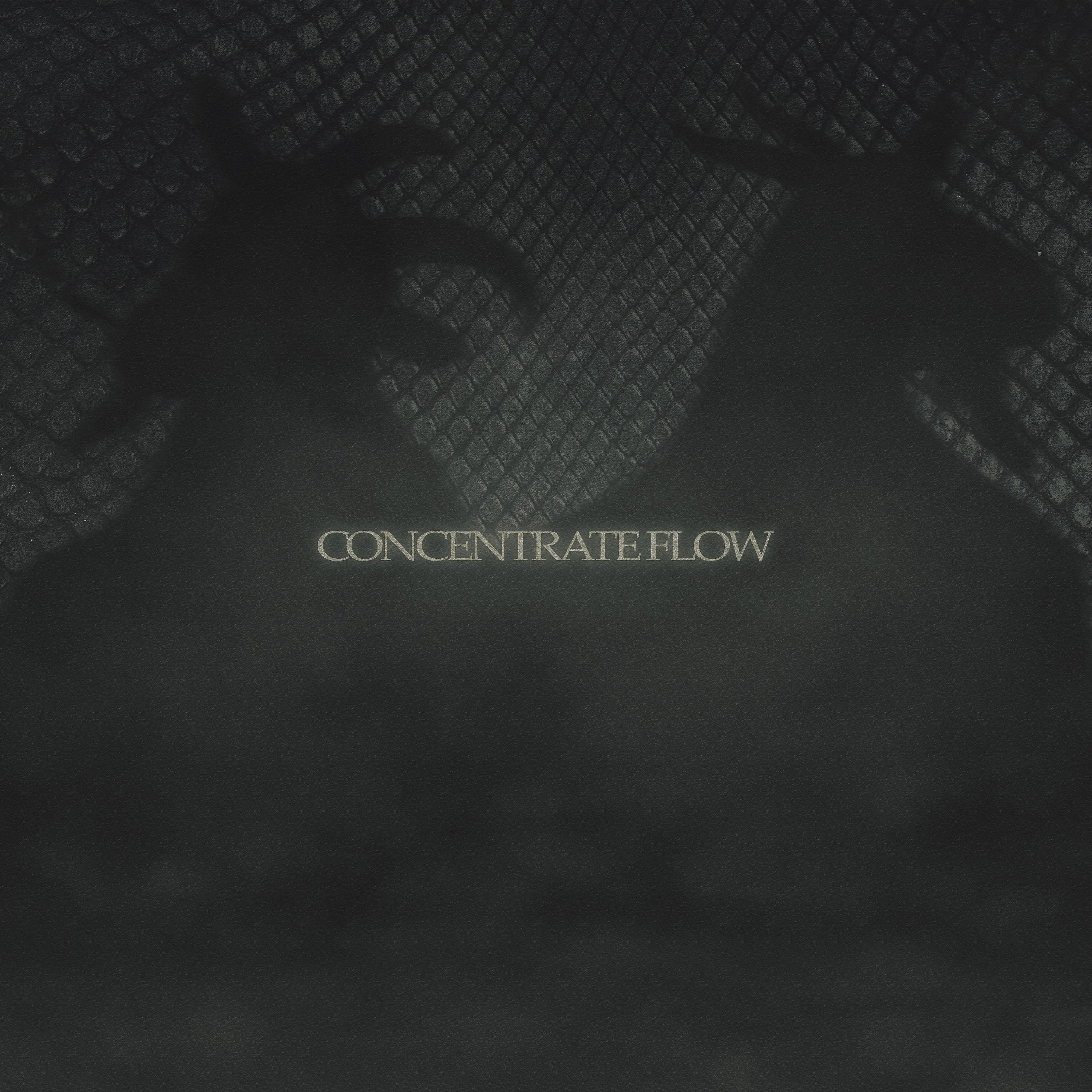 Постер альбома Concentrate Flow