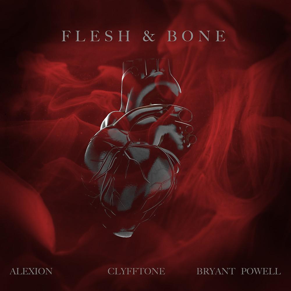 Постер альбома Flesh & Bone