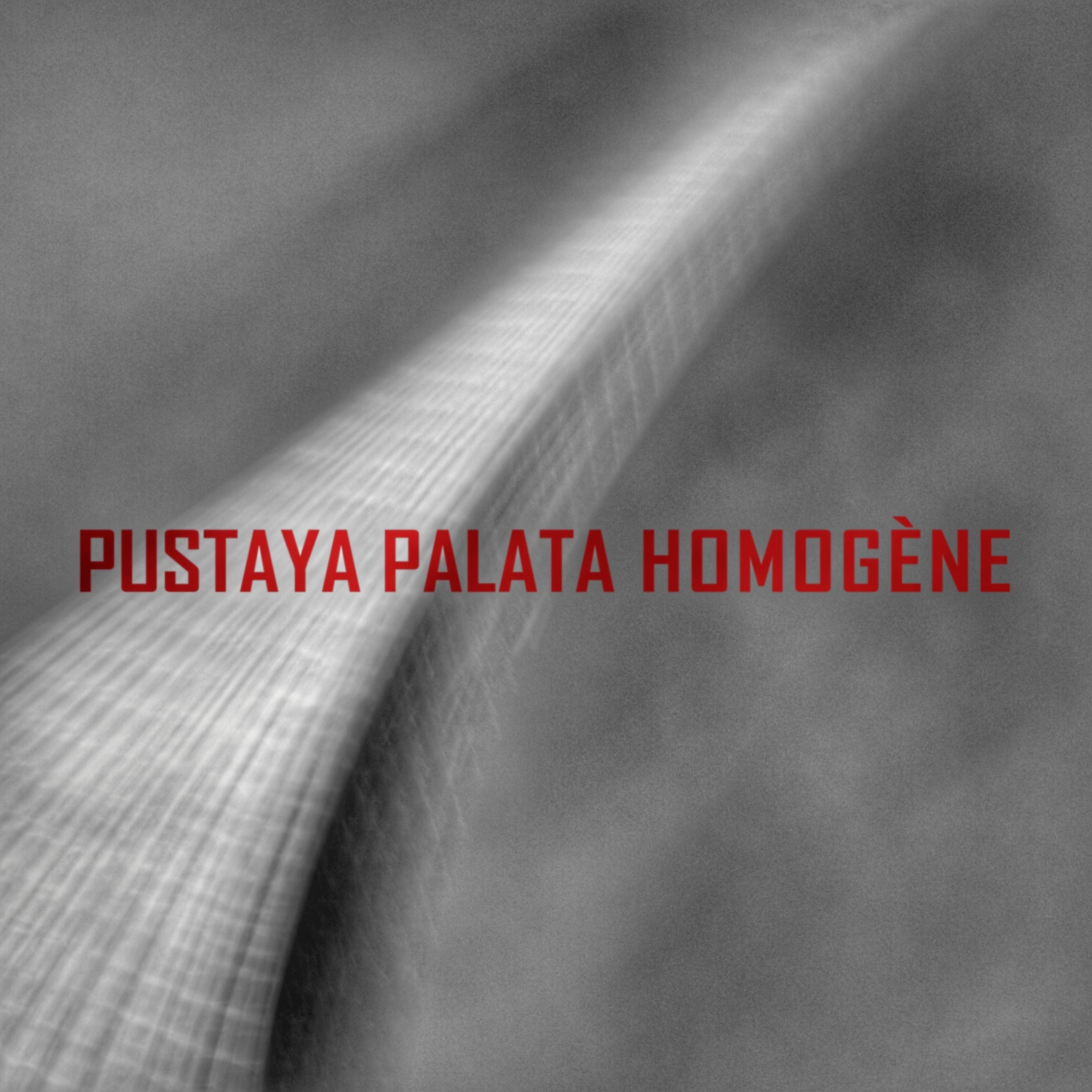 Постер альбома Homogène