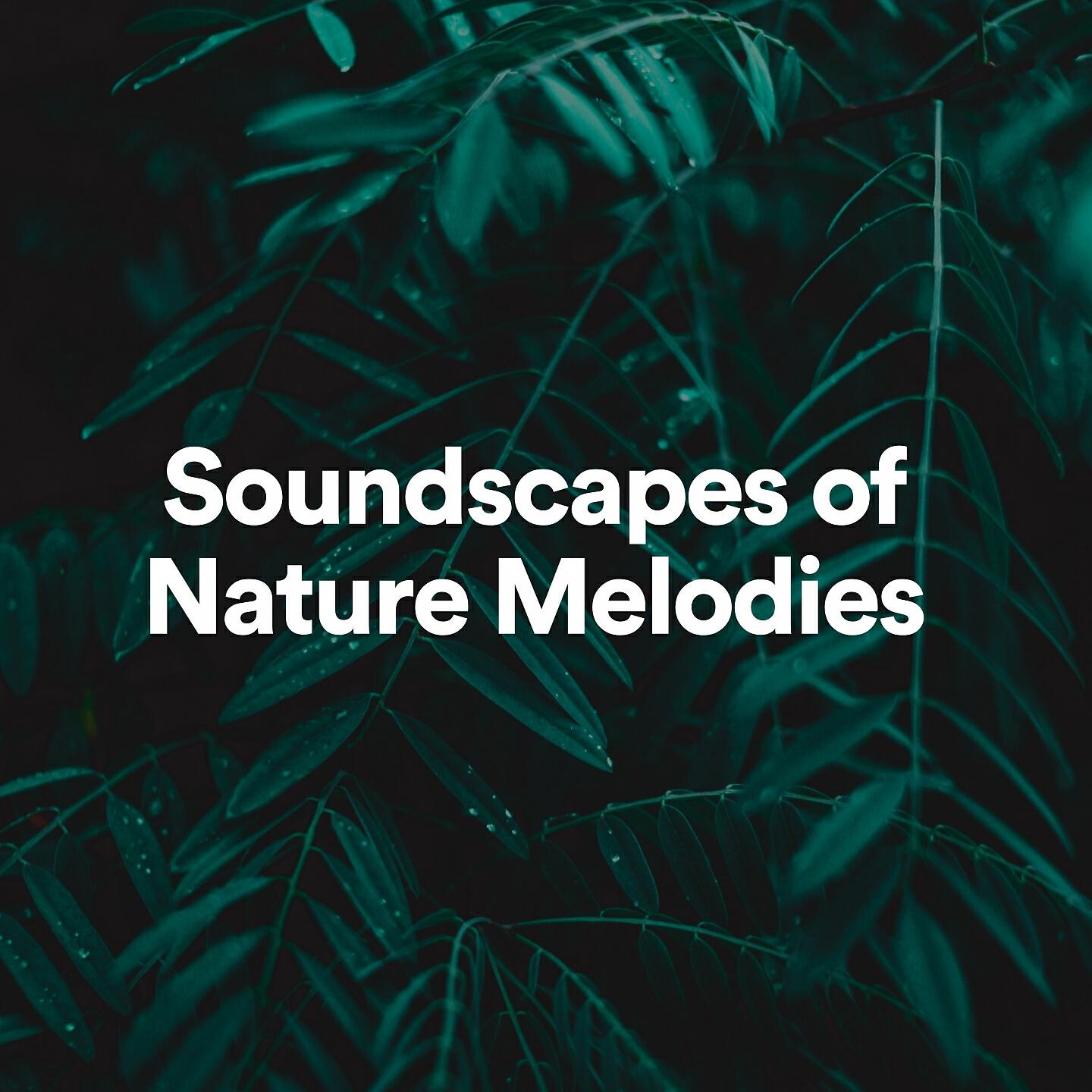 The Nature Soundscapes - Soundscapes of Nature Melodies, Pt. 51