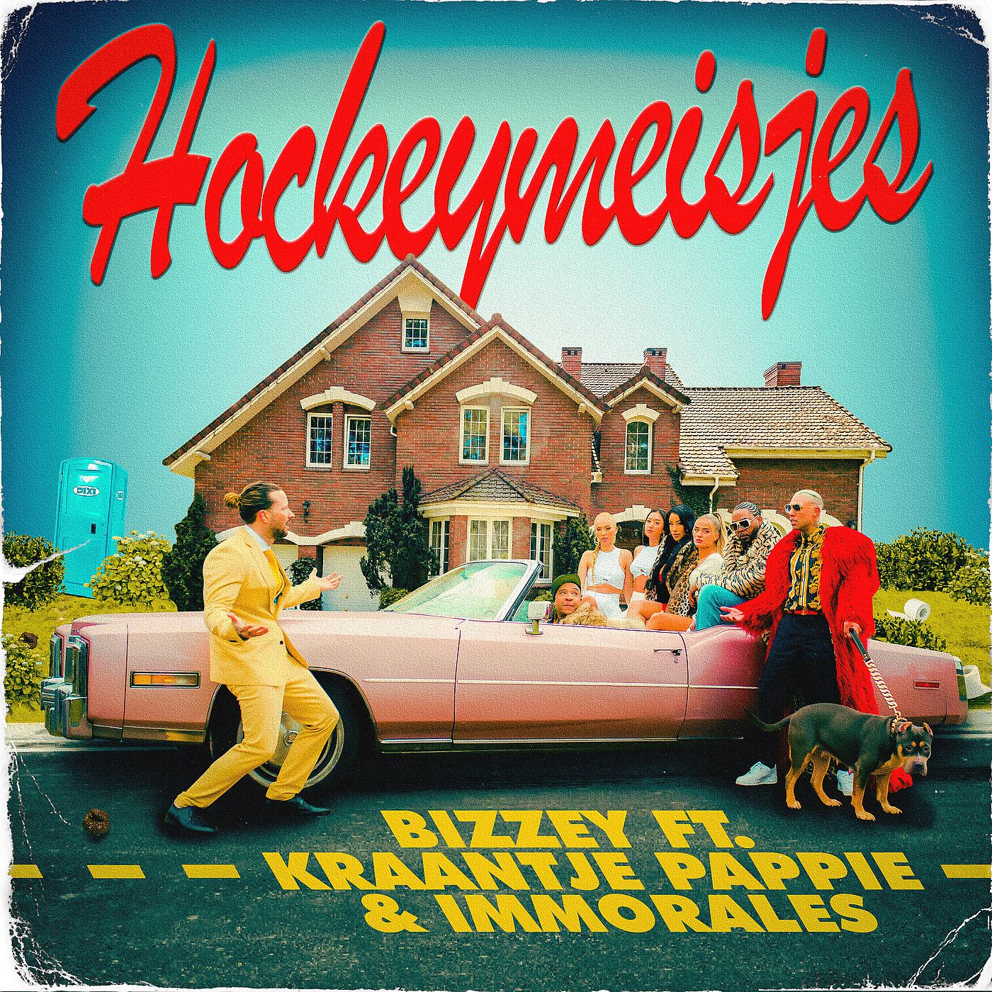 Постер альбома Hockeymeisjes