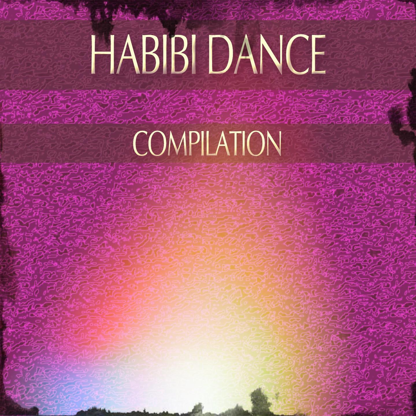 Постер альбома Habibi Dance Compilation (The Essential House Electro Arabian Compilation)