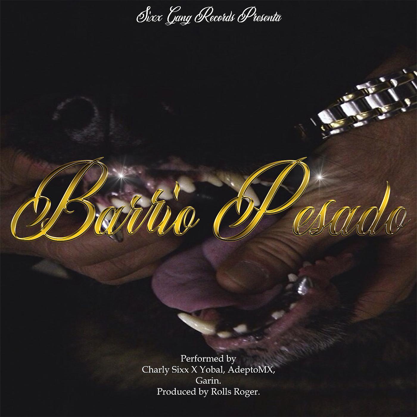 Постер альбома Barrio Pesado