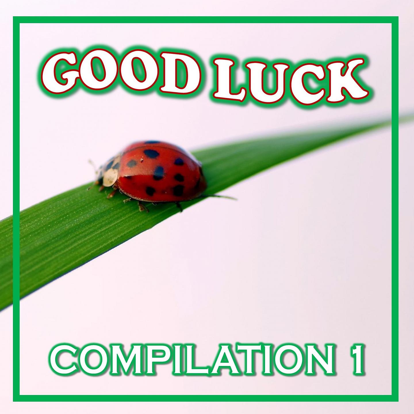 Постер альбома Good Luck compilation 1