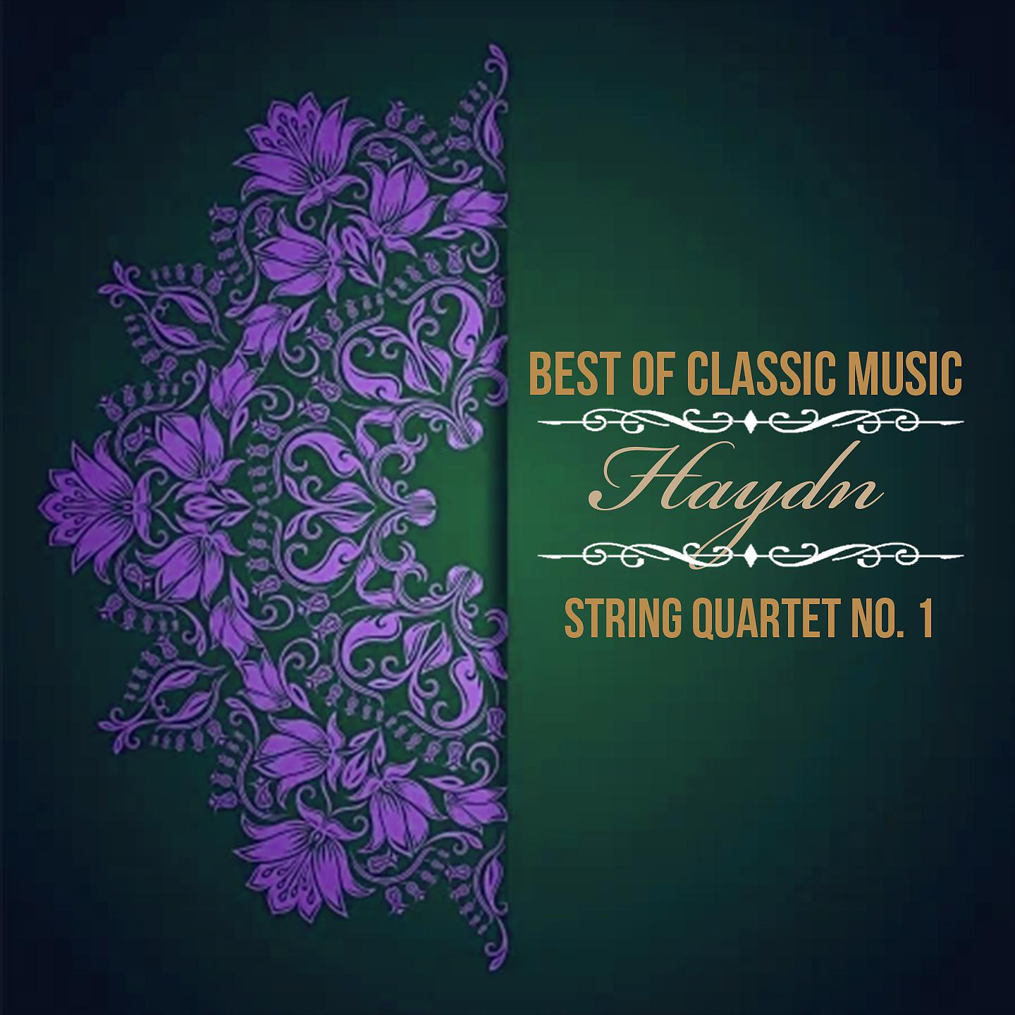 Постер альбома Best of Classic Music, Haydn - String Quartet No. 1