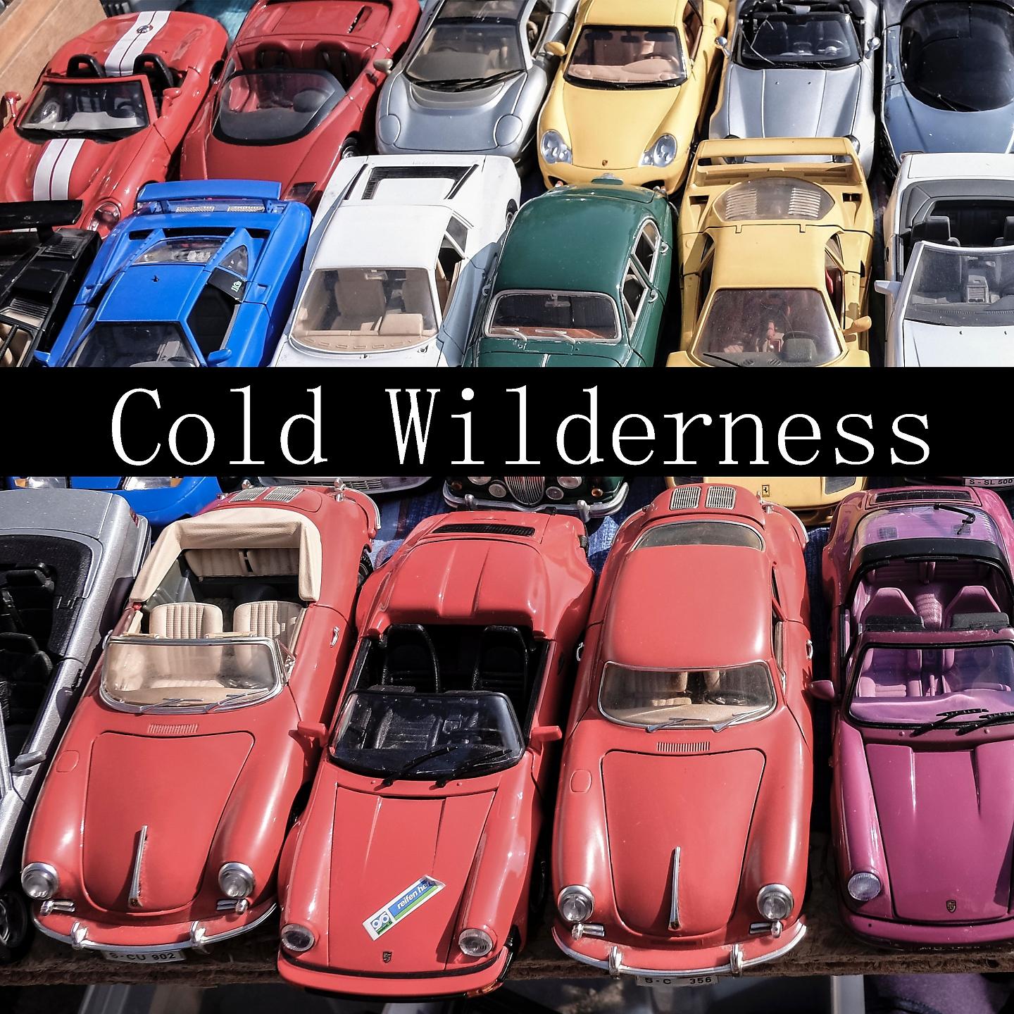 Постер альбома Cold Wilderness