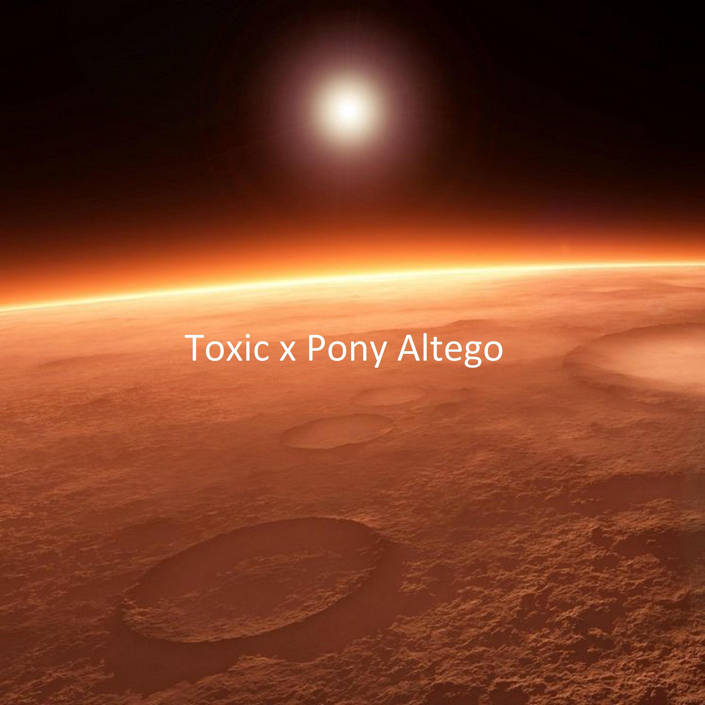 Постер альбома Toxic x Pony Altego