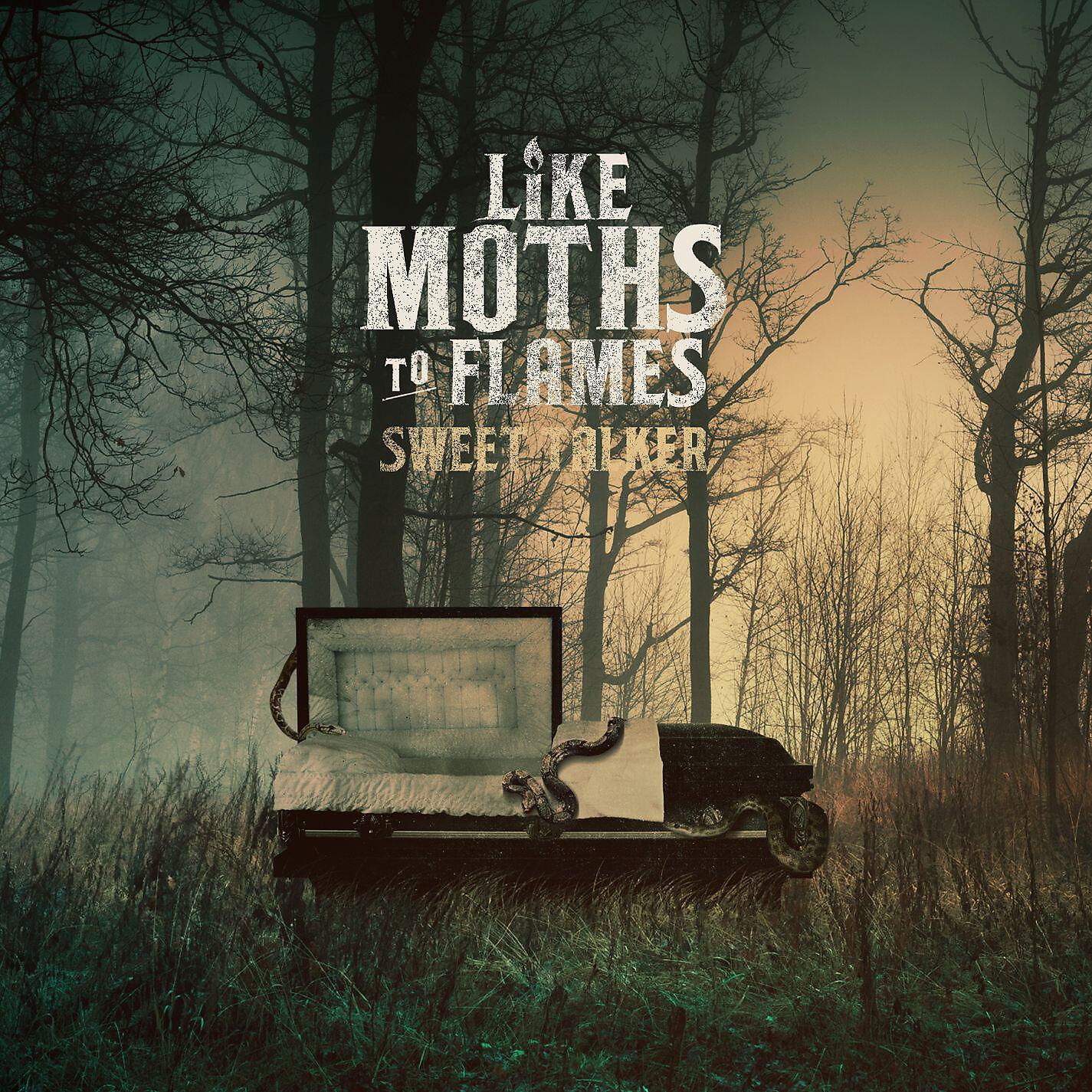 Like Moths To Flames - Dead Routine