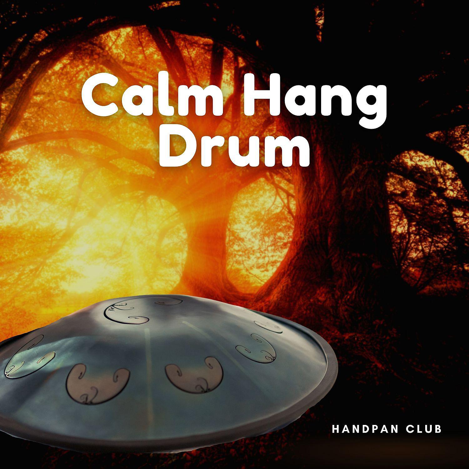 Постер альбома Calm Hang Drum Music for Relaxation