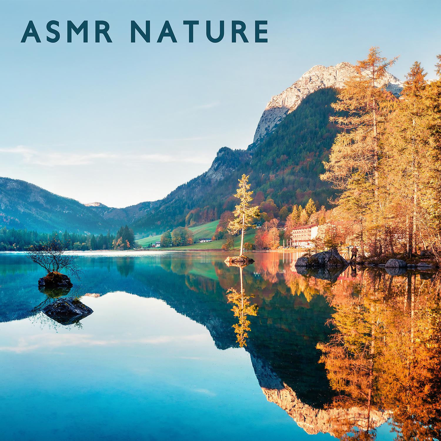 Постер альбома ASMR Nature: Quick Stress Release with Relaxing Nature Ambience Meditation