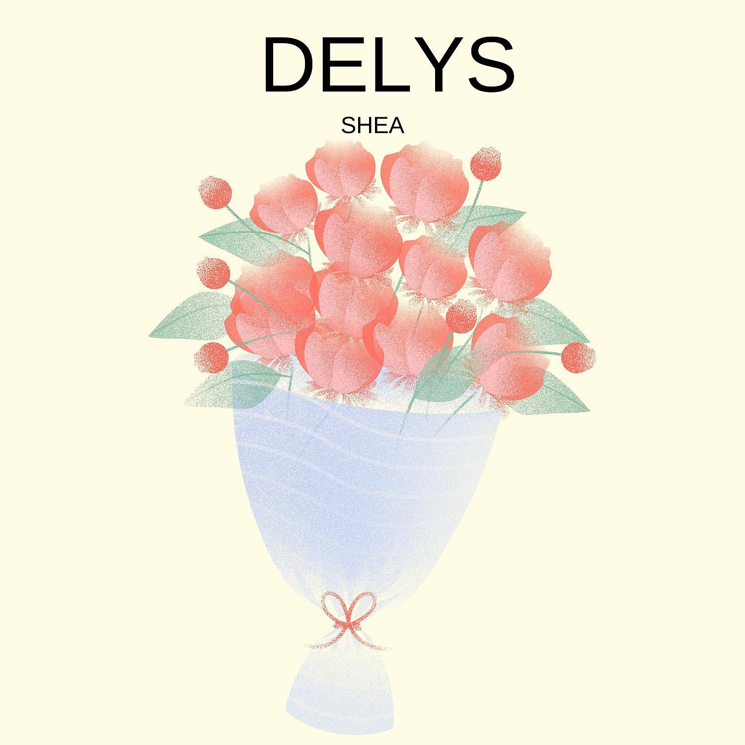 Постер альбома Delys