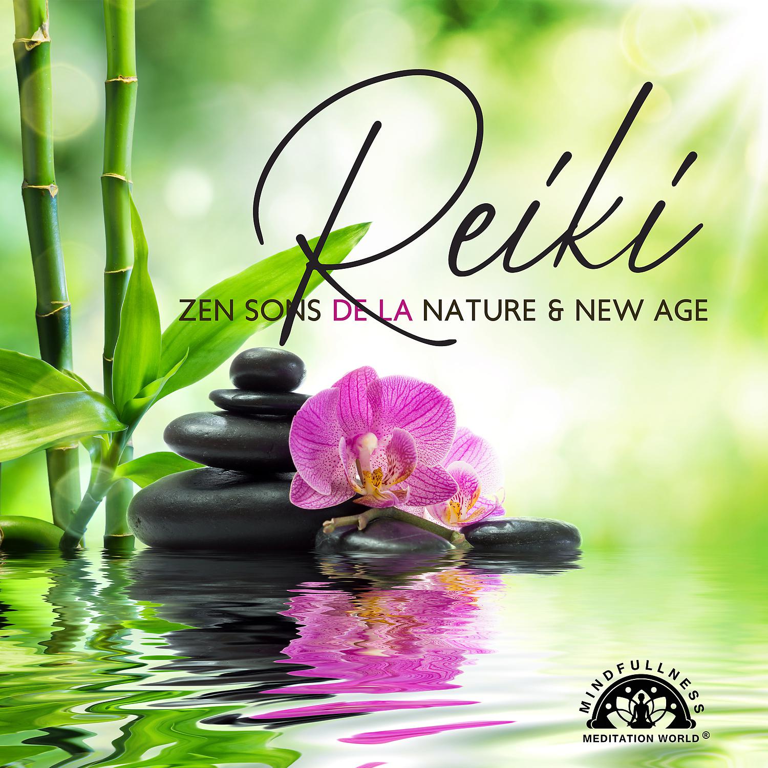 Постер альбома Reiki: Zen sons de la nature & New age - Musique pour soins énergétiques, Massage de guérison et démarche spirituelle, Thérapie holistique avec les mains par la transmission d’énergie