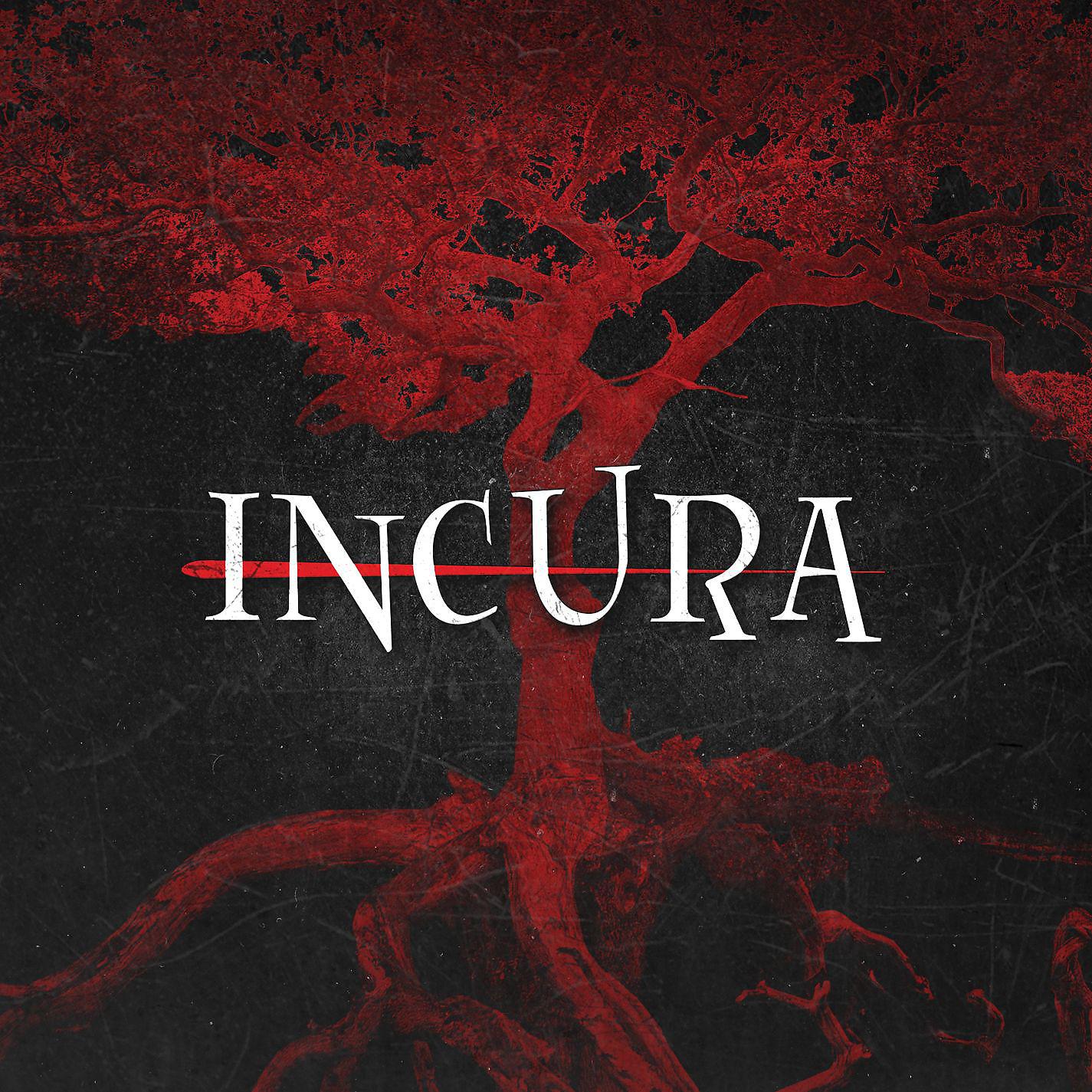 Постер альбома Incura