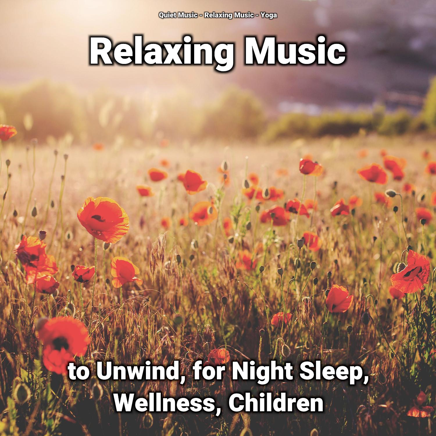 Постер альбома Relaxing Music to Unwind, for Night Sleep, Wellness, Children