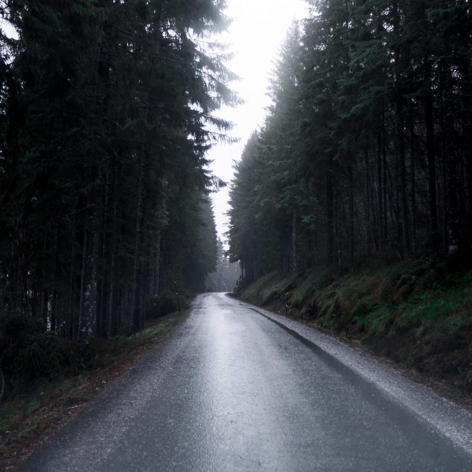 Nice Raining Car Soughs for Kids Sleep - Smooth Fine Drizzle Tones from inside Car for Sleeping