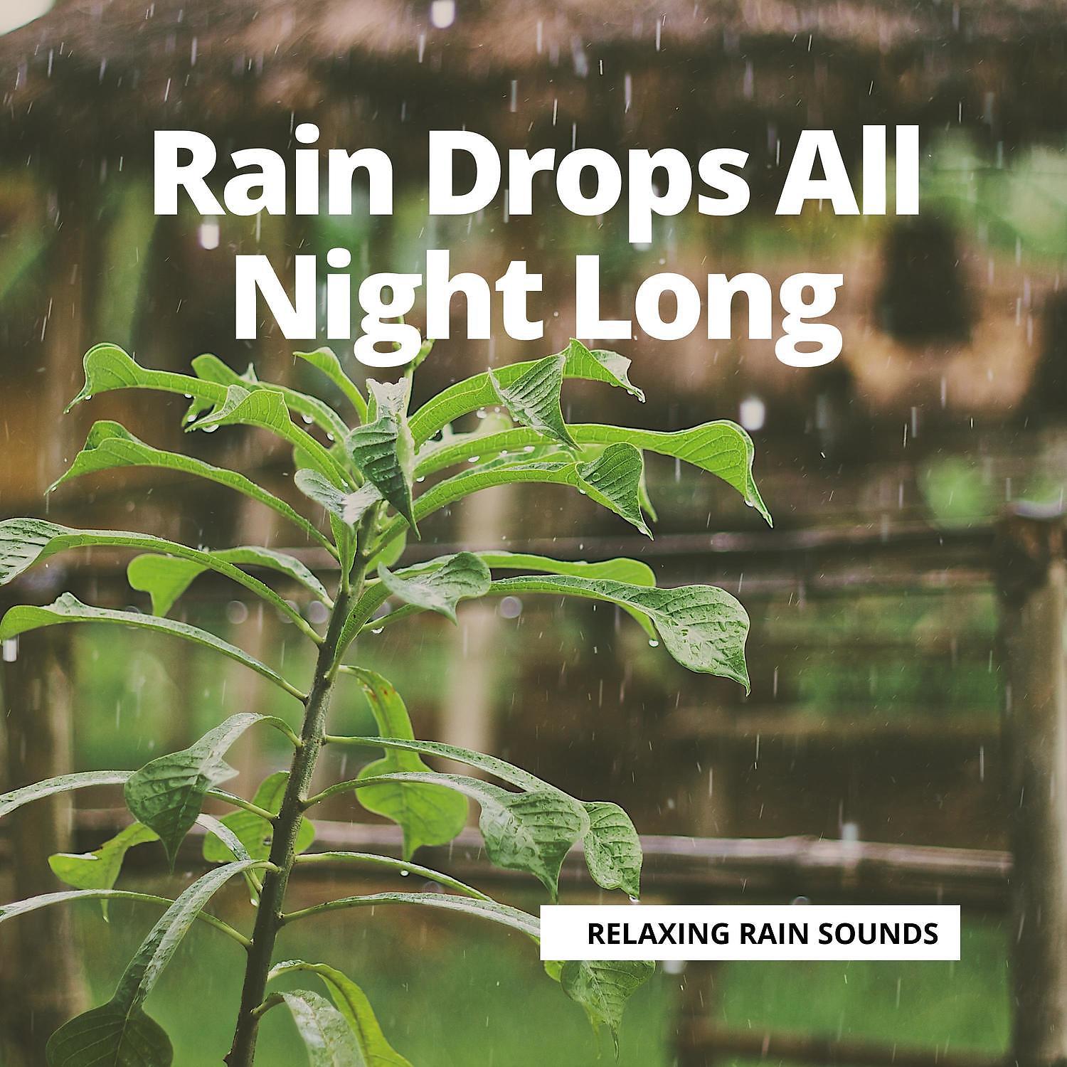 Постер альбома Rain Drops All Night Long