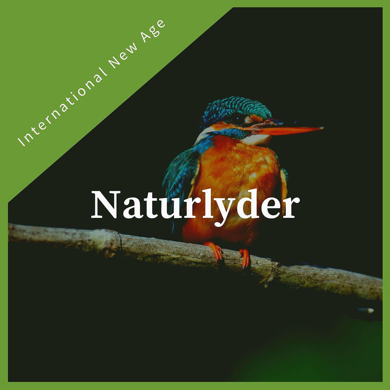 Постер альбома Naturlyder - Rolig new age-musikk