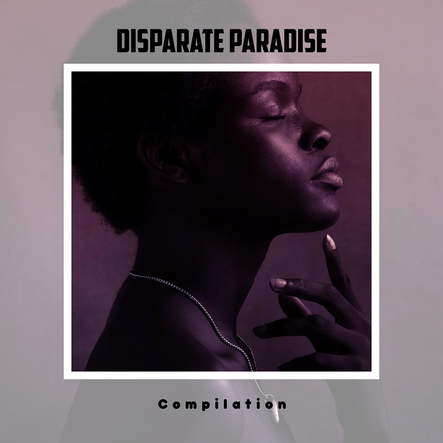 Постер альбома Disparate Paradise Compilation