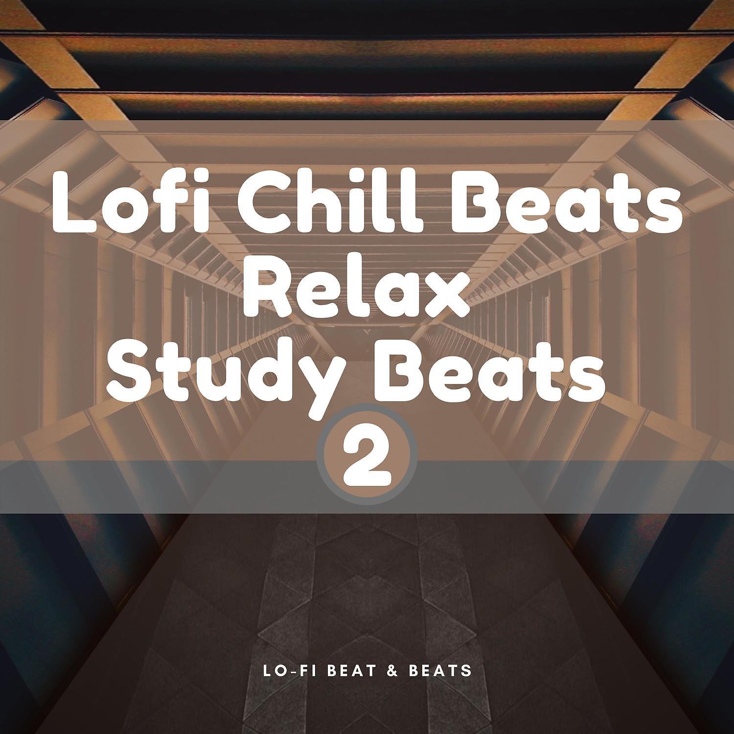 Постер альбома Lofi Chill Beats, Relax, Study Beats 2