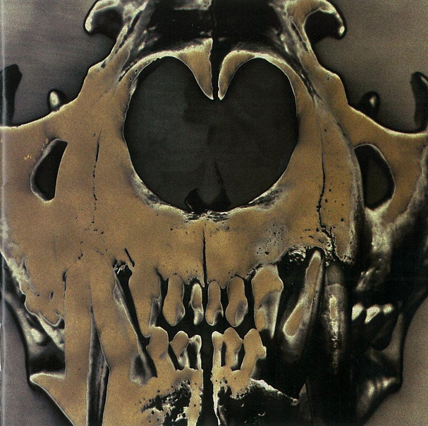 LOUDNESS - HOUSE OF 1,000 PLEASURES