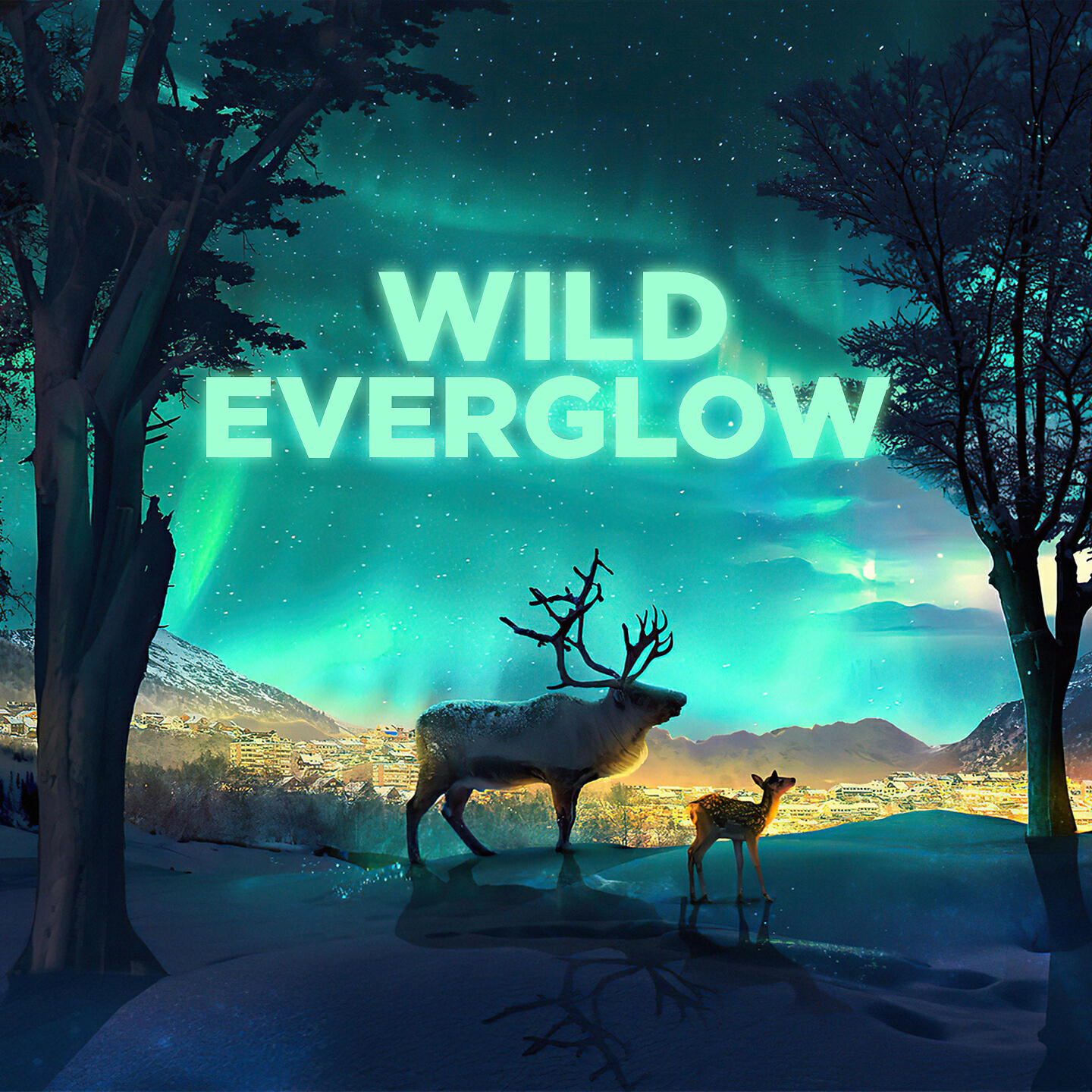 Cloud Tunes - Wild Everglow