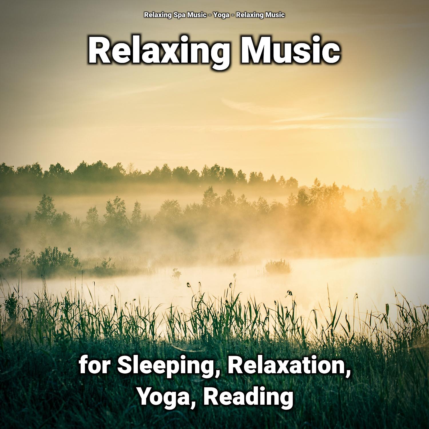 Постер альбома Relaxing Music for Sleeping, Relaxation, Yoga, Reading