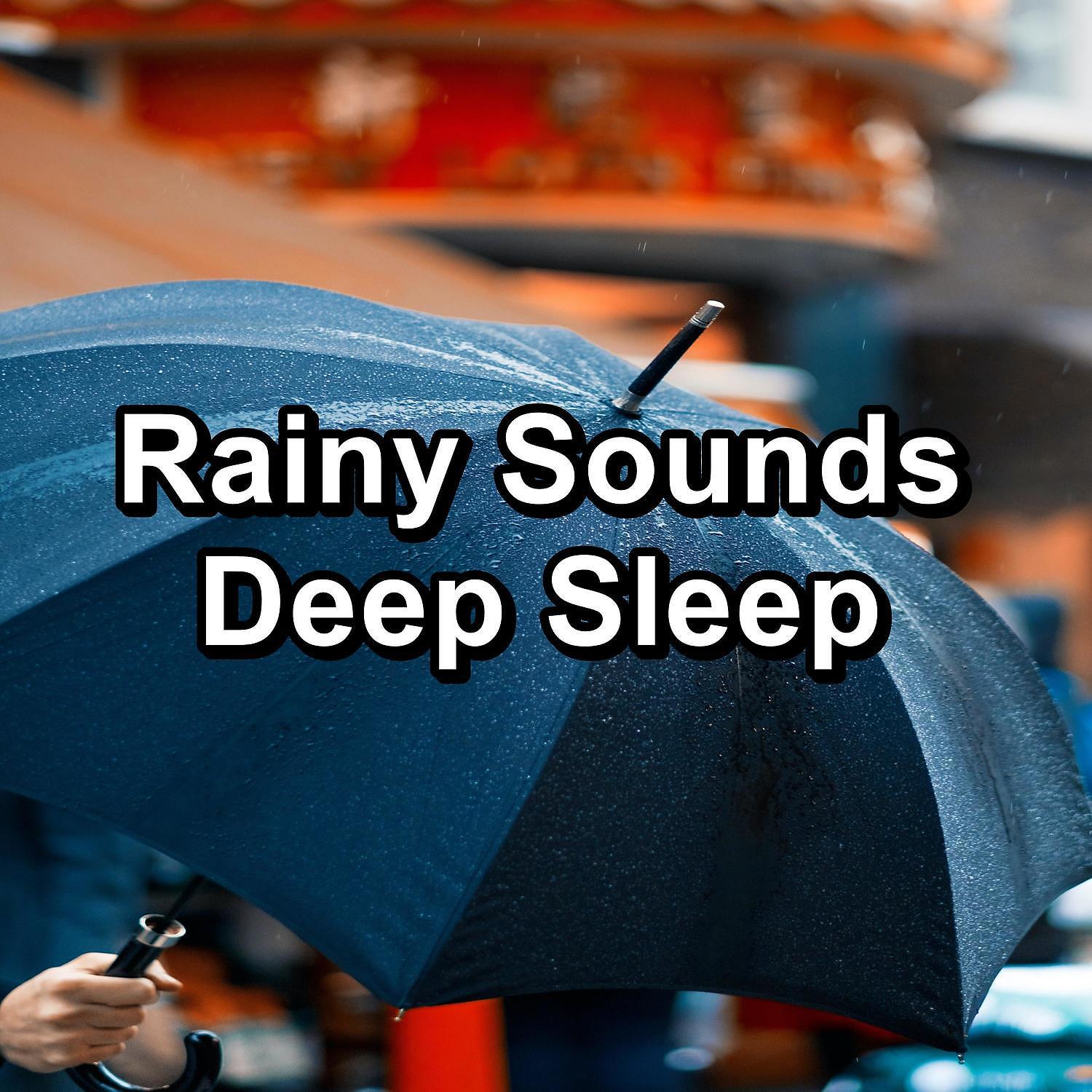 Постер альбома Rainy Sounds Deep Sleep