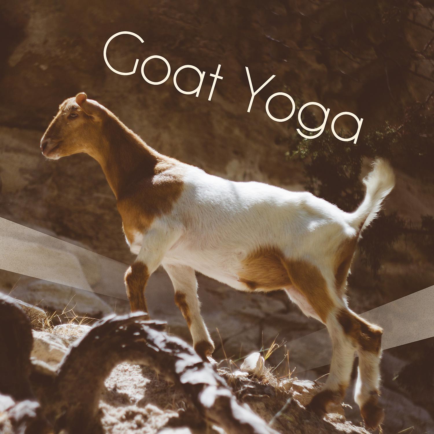 Постер альбома Goat Yoga: Best Background Yoga Music for Goat Yoga Classes