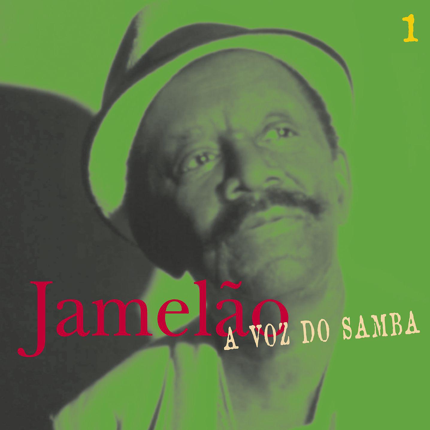 Постер альбома A Voz Do Samba (Disco 01)