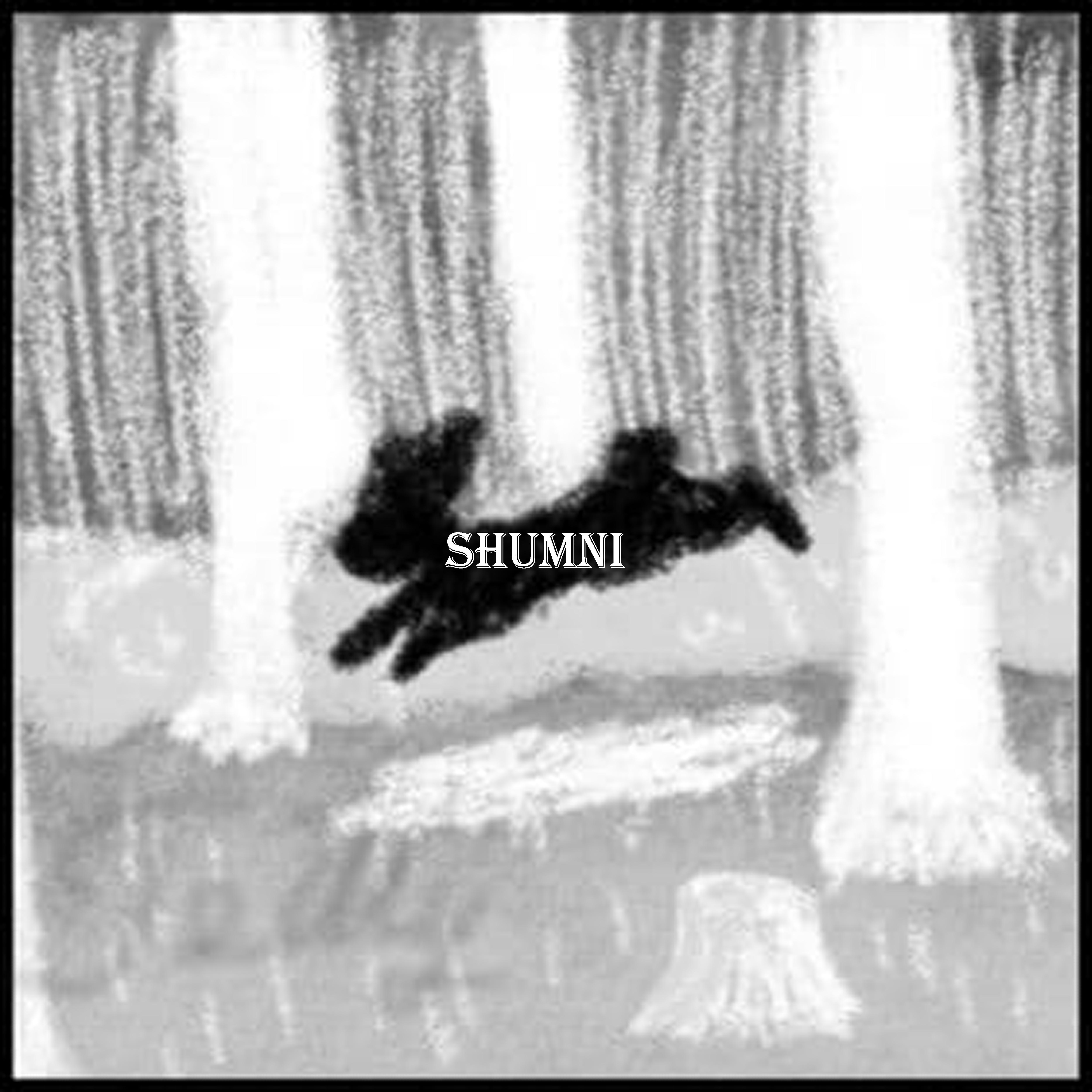 Постер альбома Shumni