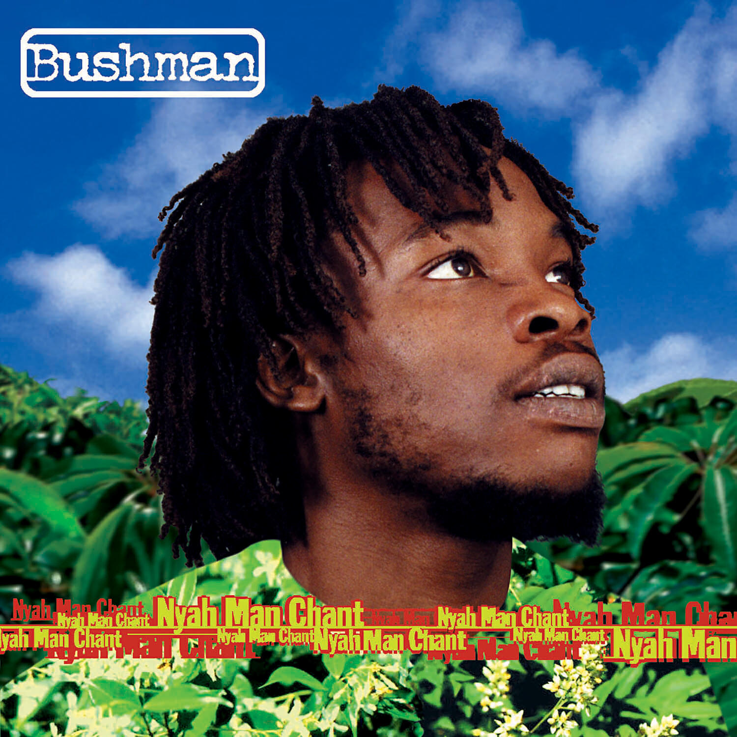 Bushman - Man A Lion