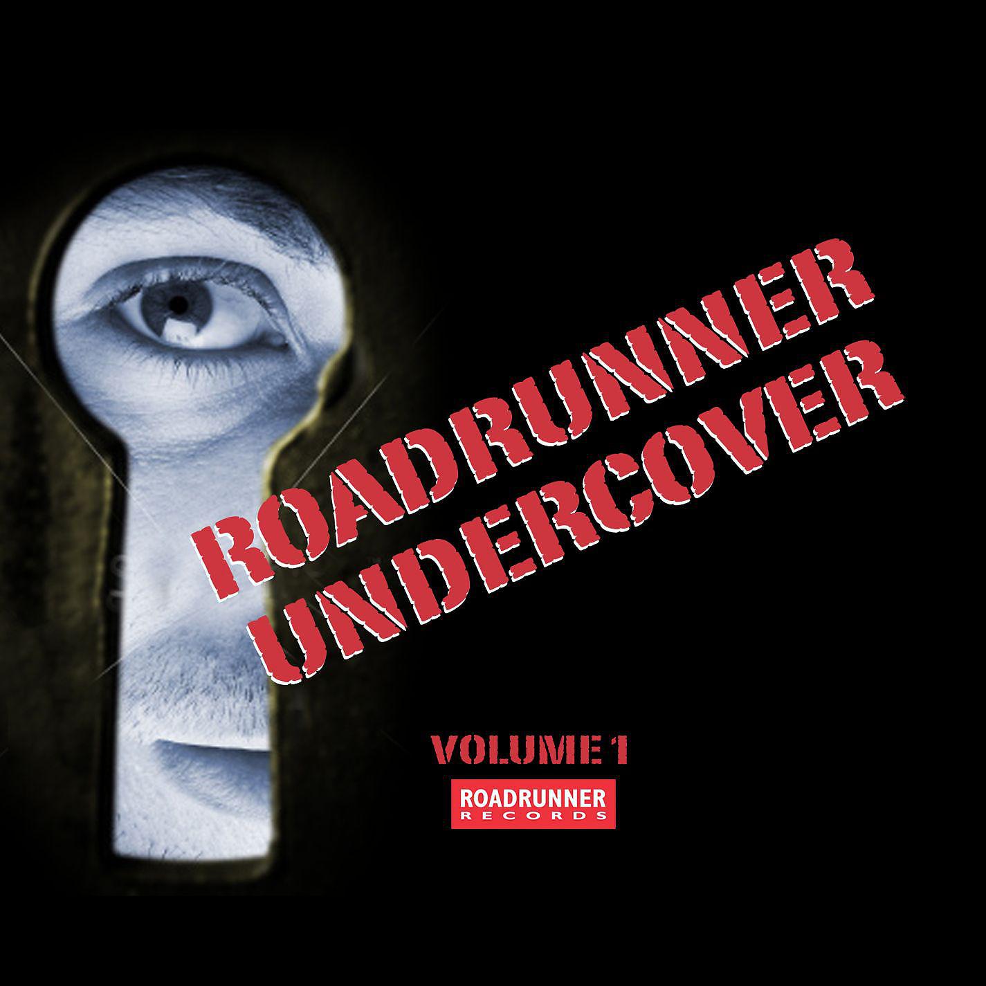 Постер альбома Roadrunner Undercover