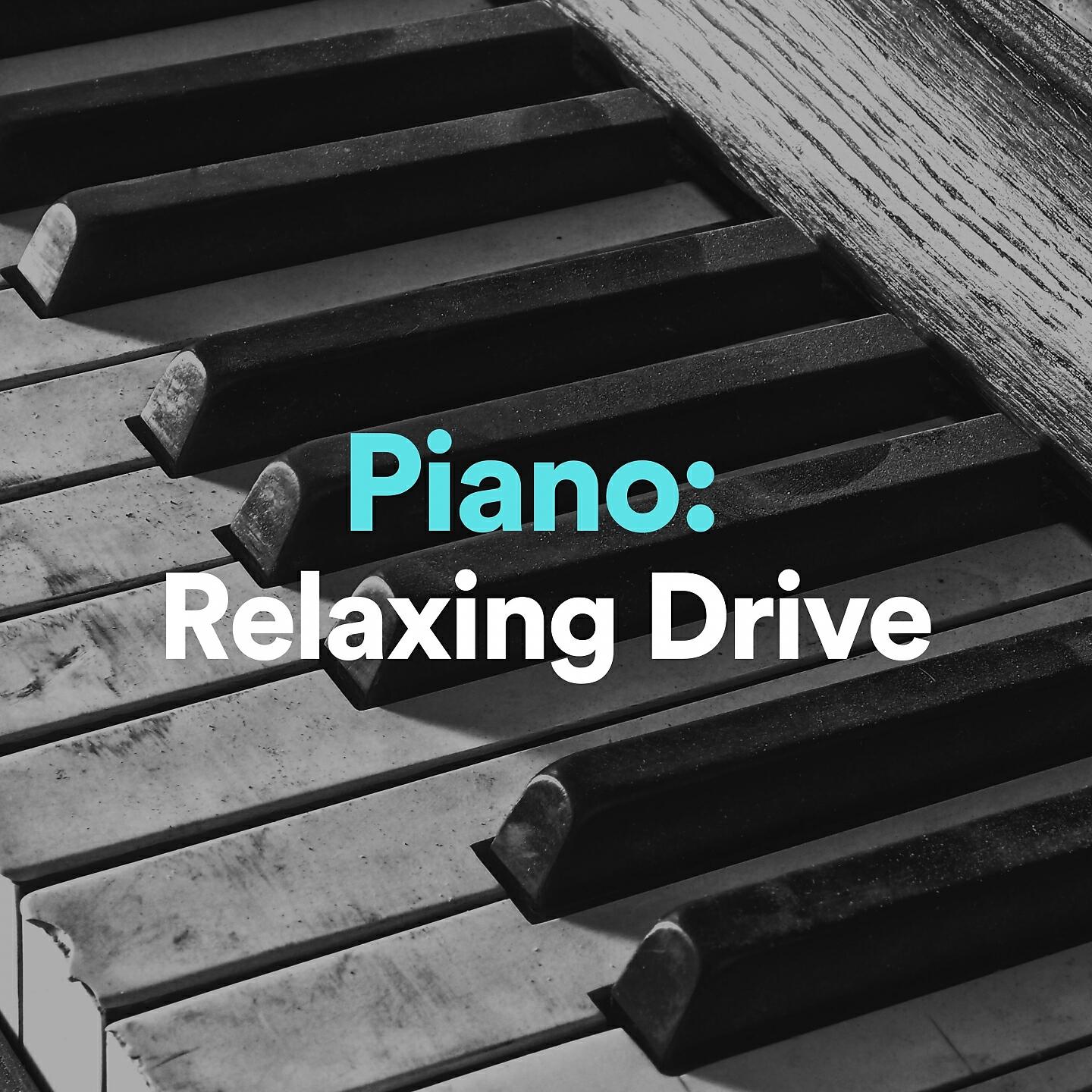 Focusity - Clean Air Zone