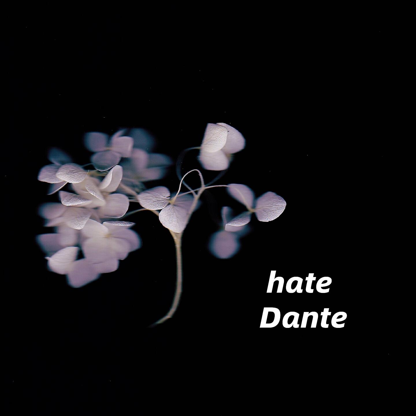 DANTE - nobody
