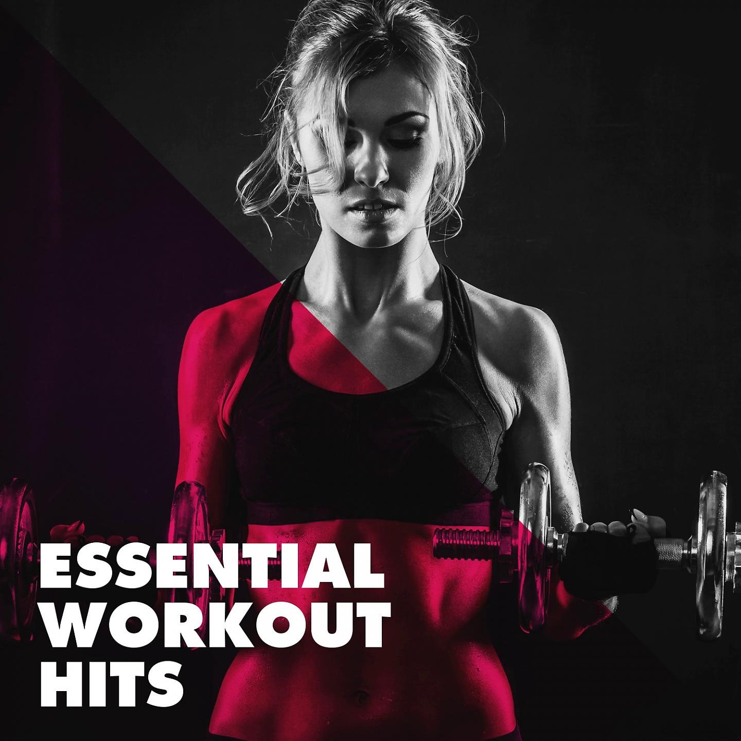 Постер альбома Essential Workout Hits