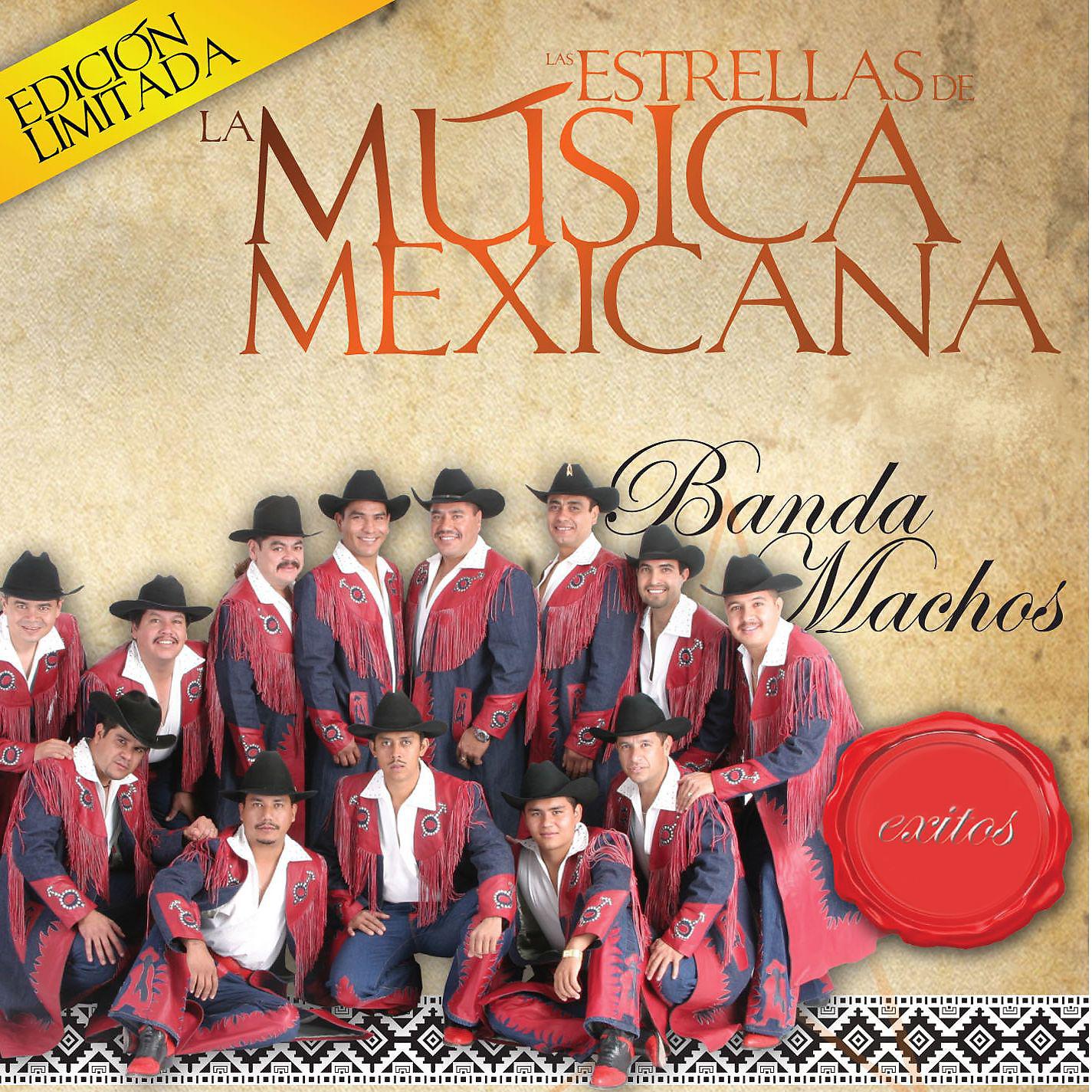 Постер альбома Las Estrellas de la Musica Mexicana (USA)