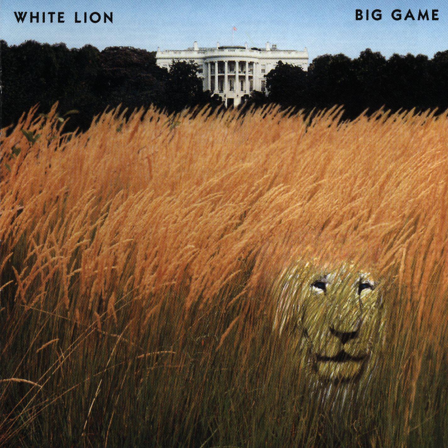 Постер альбома Big Game