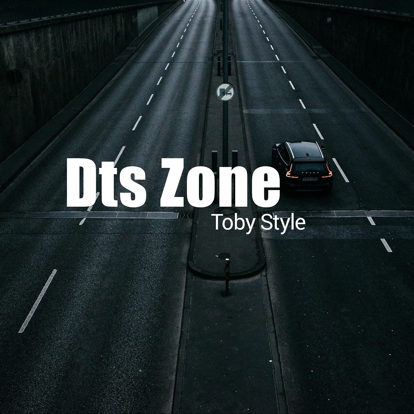 Постер альбома Dts Zone