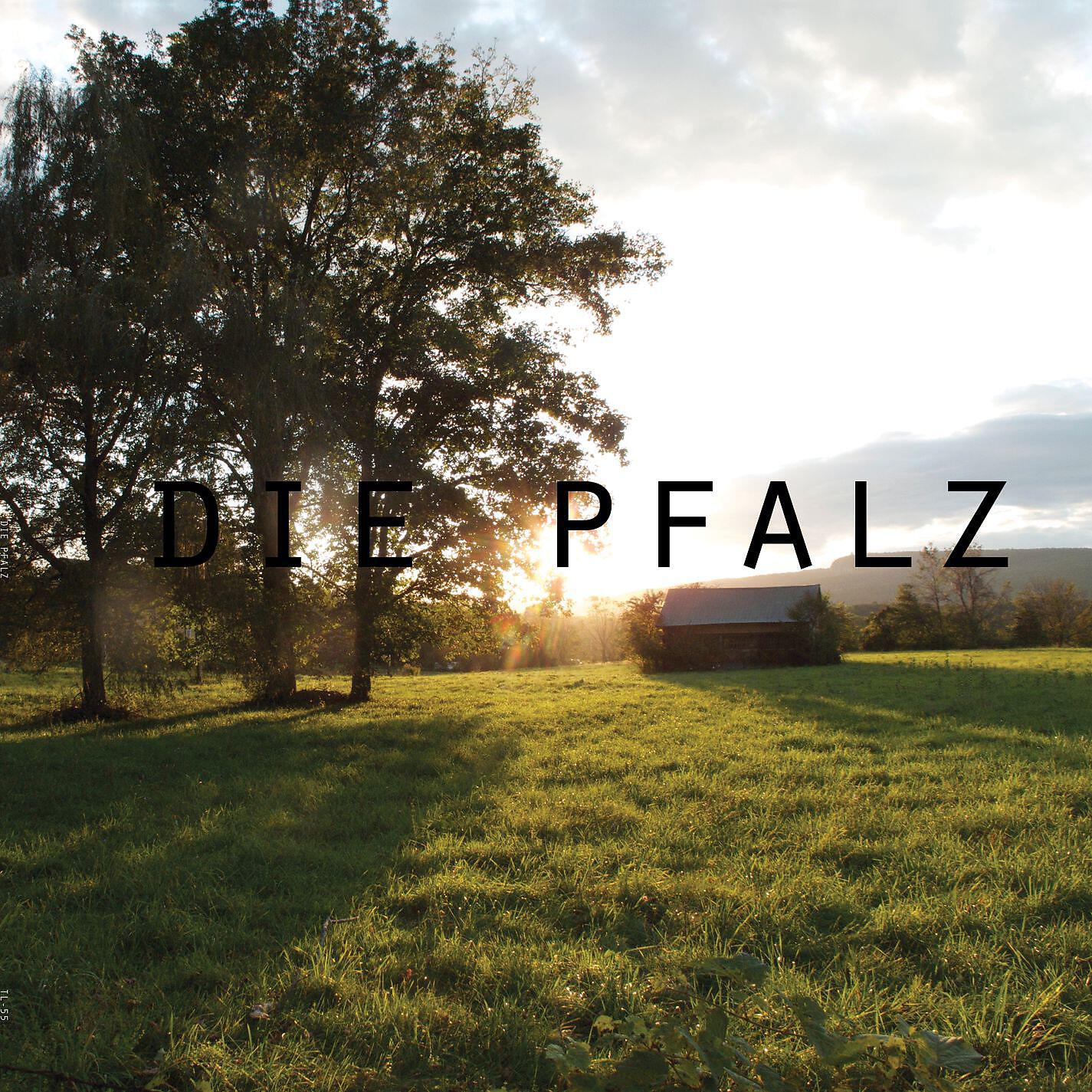 Shana Falana - Yeah Yeah