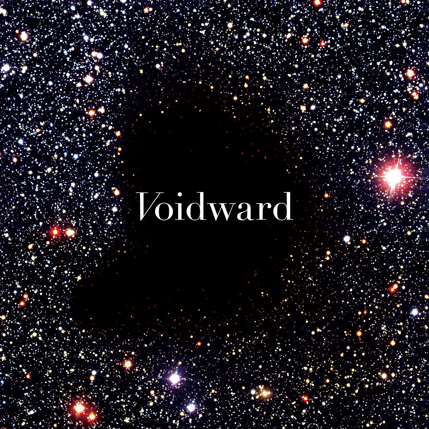 Постер альбома Voidward